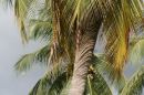 Casamance 71